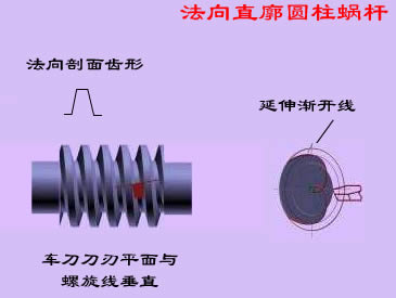 直廓环面蜗杆